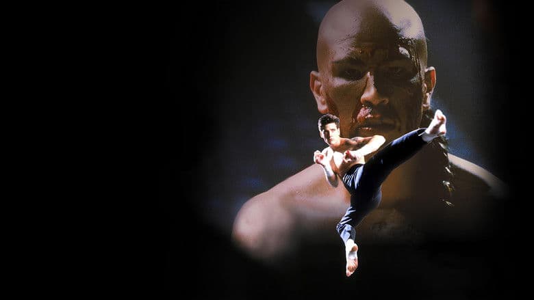 Kickboxer 4: The Aggressor still