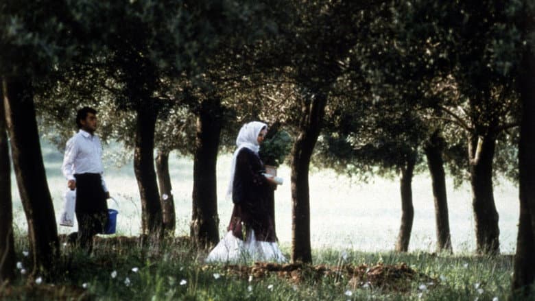 Through the Olive Trees still