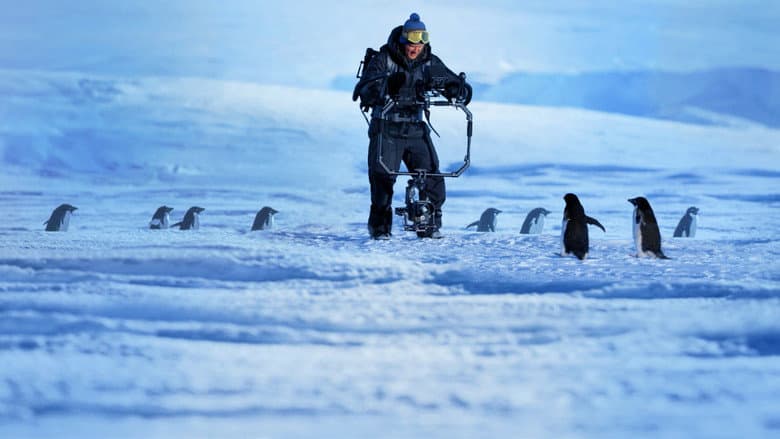 Penguins: Life on the Edge still