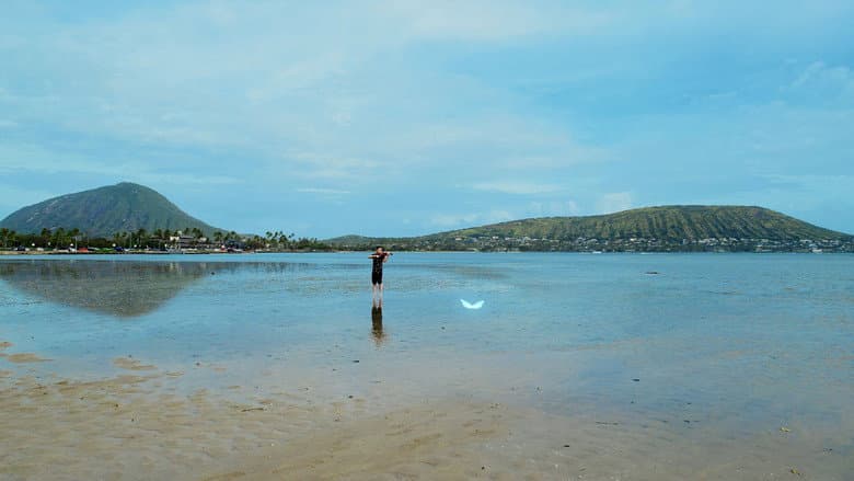 Songs of Love from Hawaii still