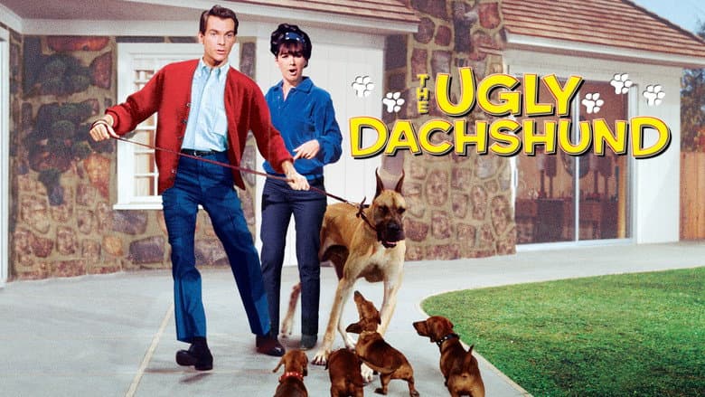 The Ugly Dachshund still