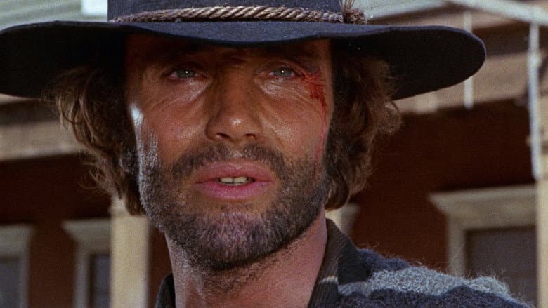 Django the Bastard still