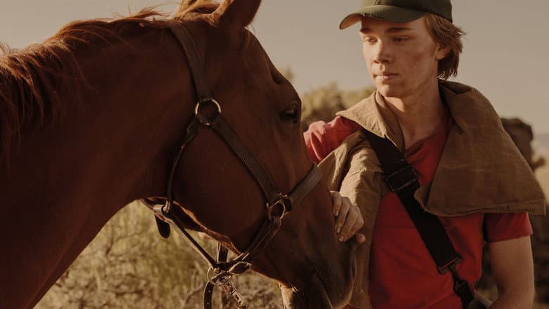 Lean on Pete still
