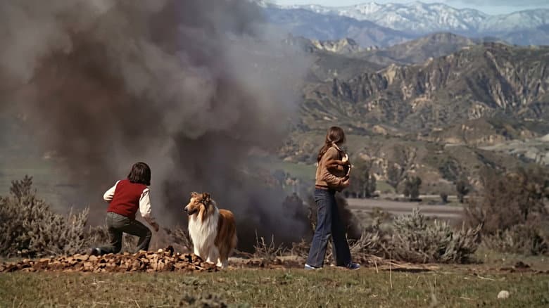 Lassie: The New Beginning still