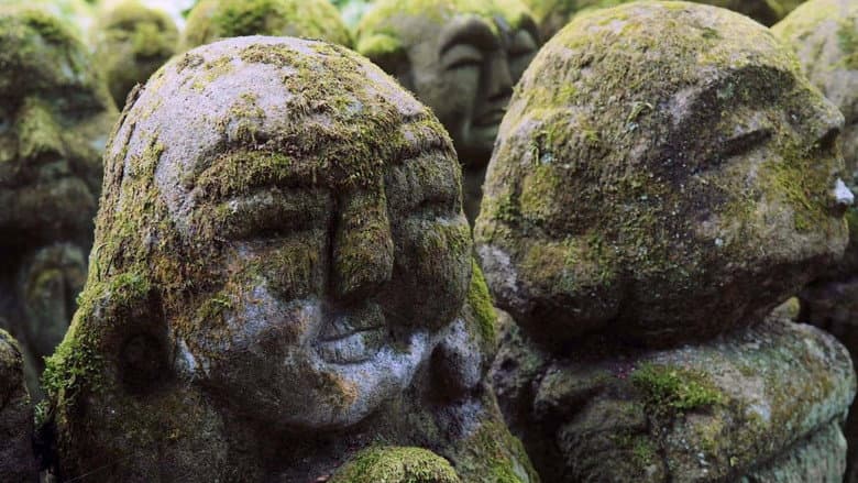 The Magical World of Moss still
