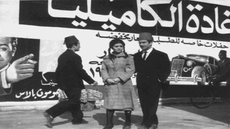 Cairo 30 still