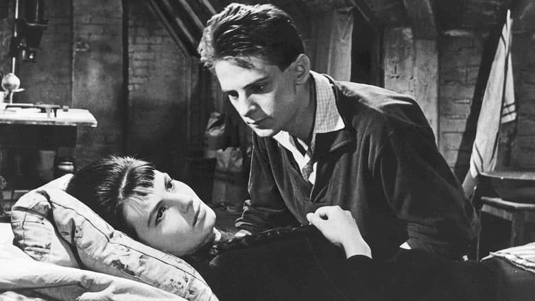 Romeo, Juliet and Darkness still