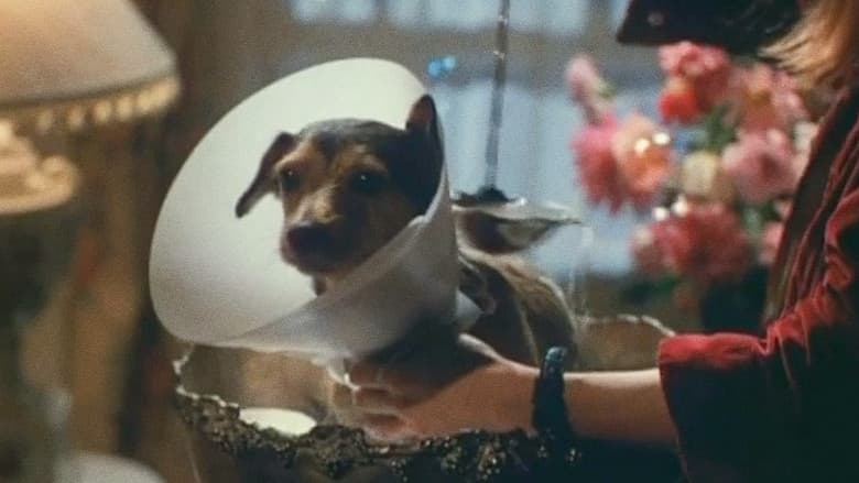 Every Dog Has Its Day still