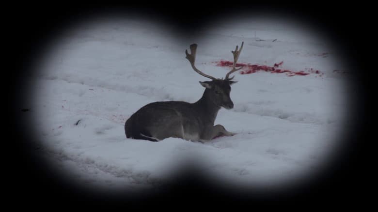 Long Live Hunting! still