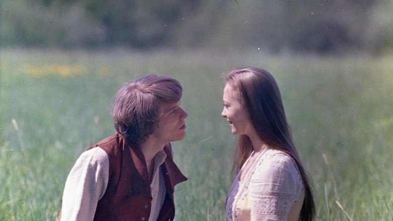 The Nightingale still