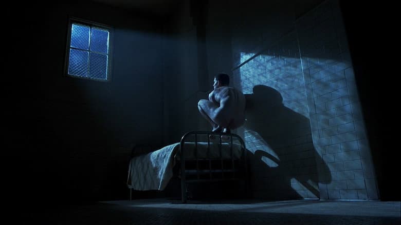 Birdy still