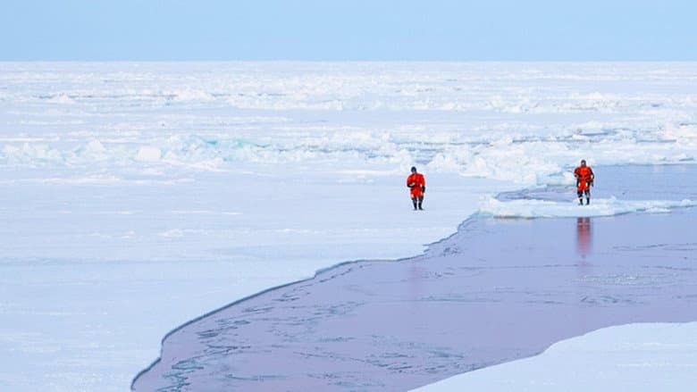 Sailing the North Pole still