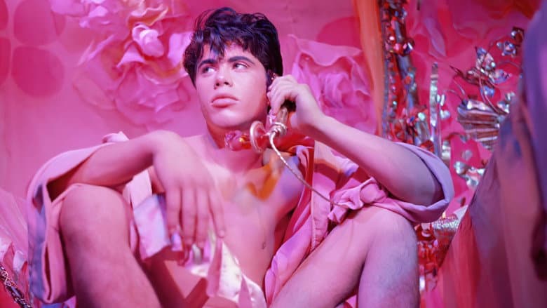 Pink Narcissus still