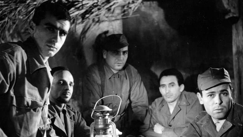 The Nightingale of Kabylia still