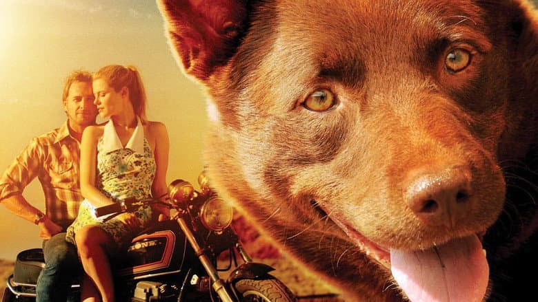 Red Dog still