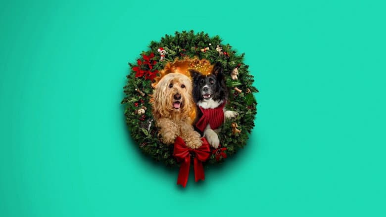 Happy Howlidays still