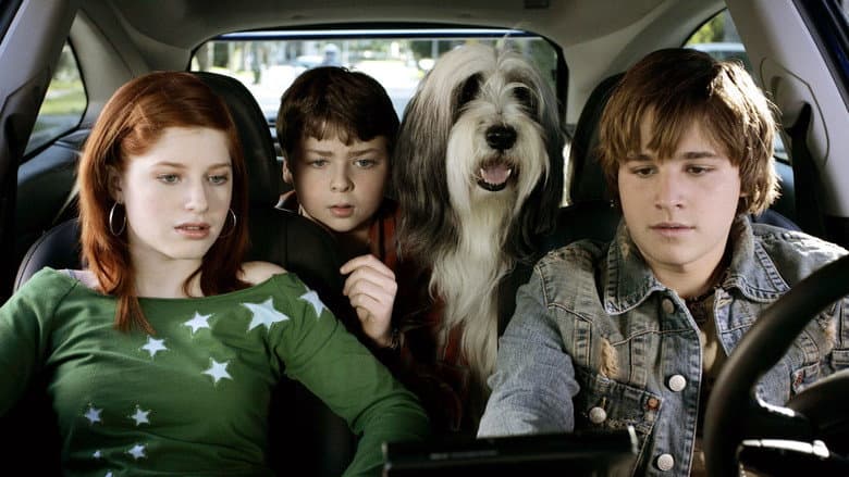 The Shaggy Dog still