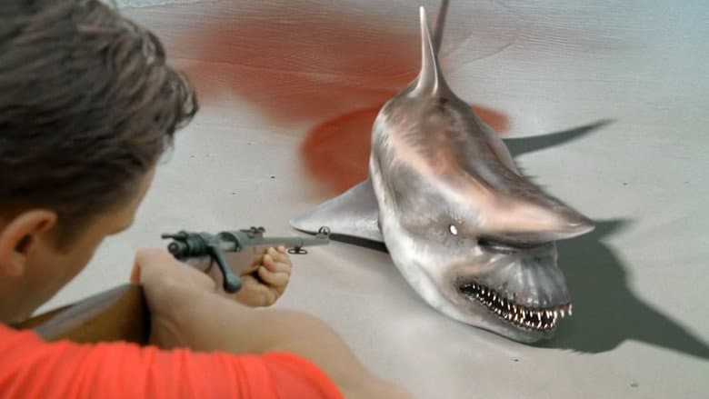 Malibu Shark Attack still