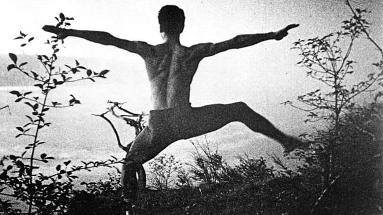 A Study in Choreography for Camera still