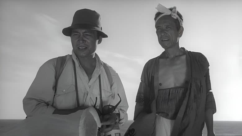 Woman in the Dunes still