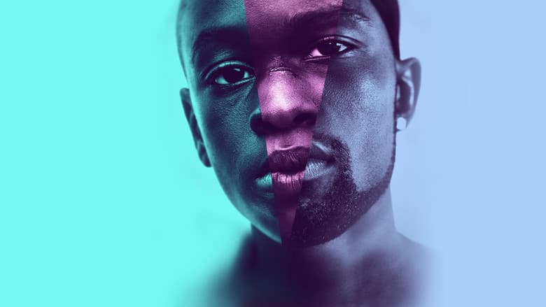 Moonlight still