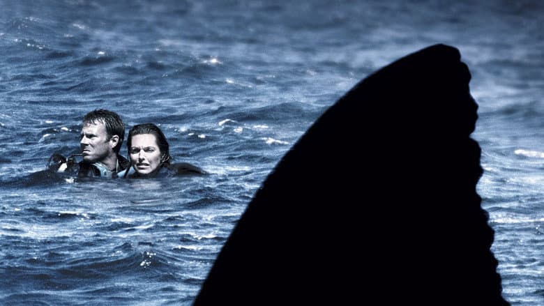 Open Water still