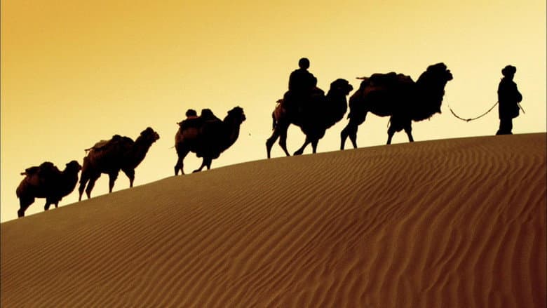 In the Footsteps of Marco Polo still