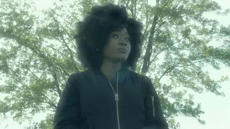 Time Sleeper still