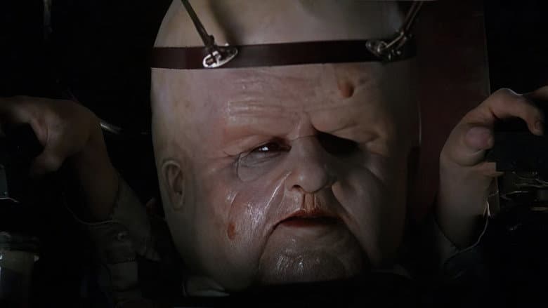 Head of the Family still