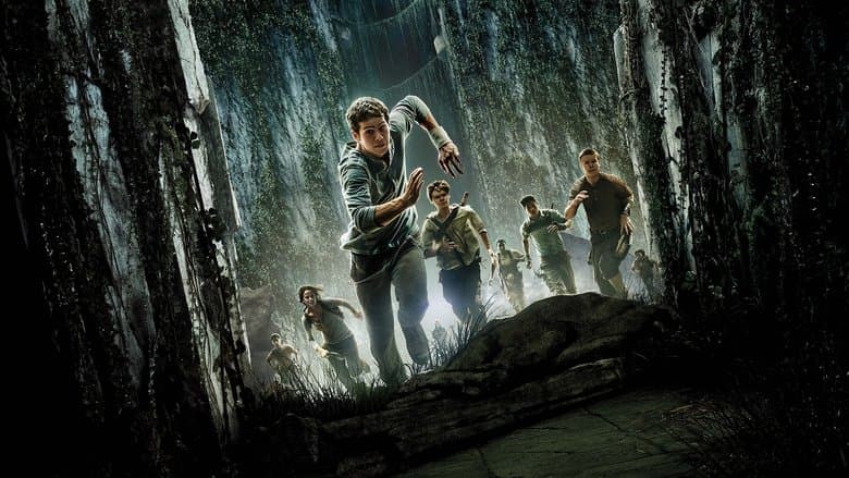 The Maze Runner still