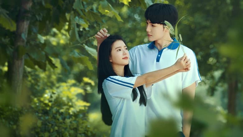 Serendipity Love still