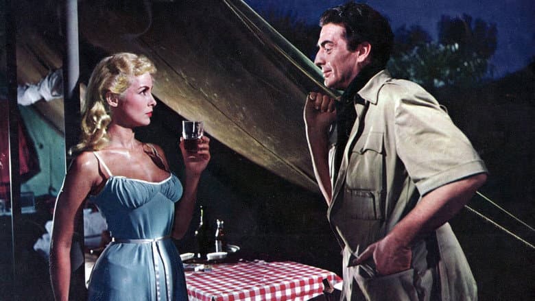 Safari still
