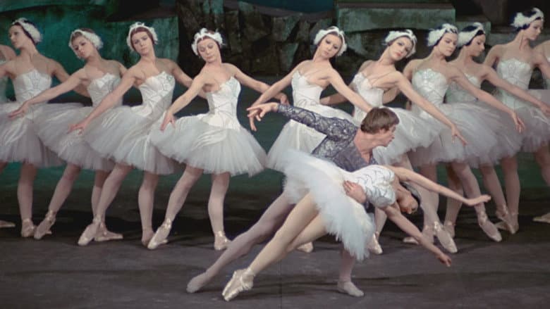 Swan Lake still