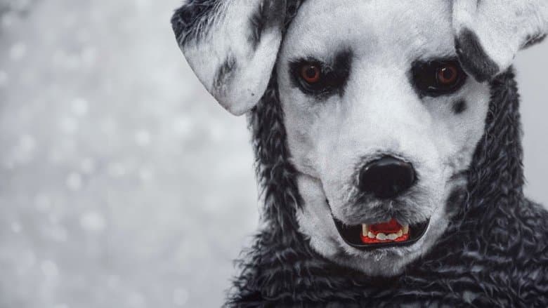 Good Boy still