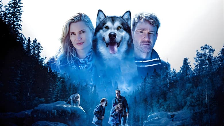 Hero Dog: The Journey Home still