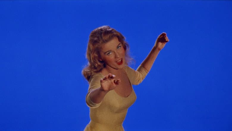 Bye Bye Birdie still