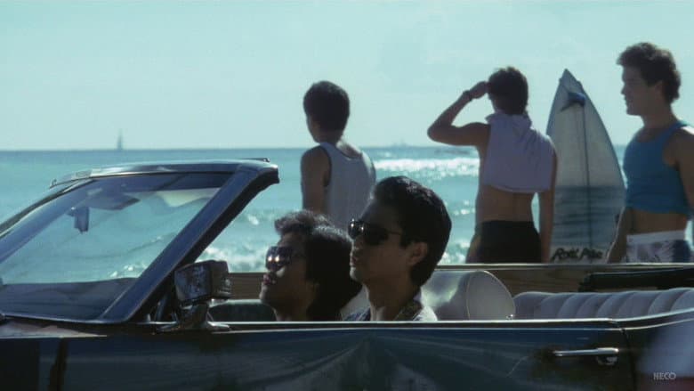 Hawaiian Dream still