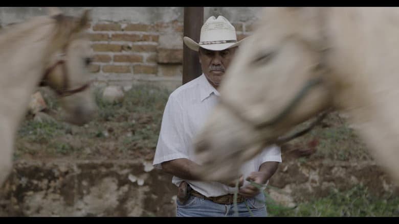 Horse Wrangler still