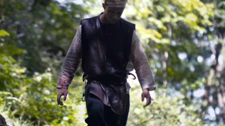 The Lost Viking still