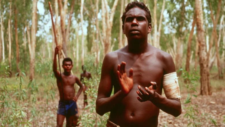Yolngu Boy still
