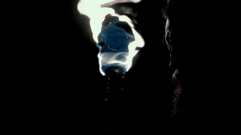 Shadows of Light still