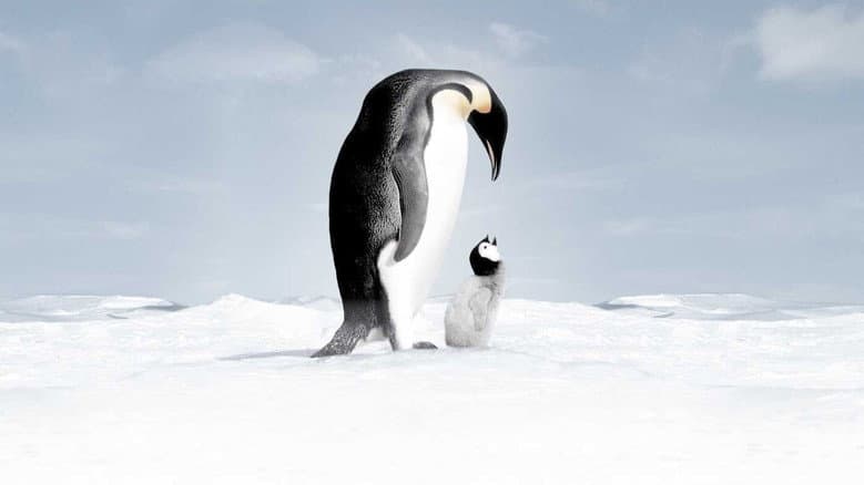 March of the Penguins still