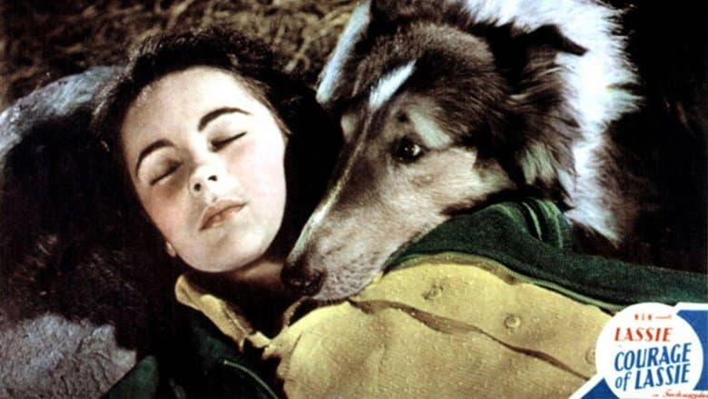 Courage of Lassie still