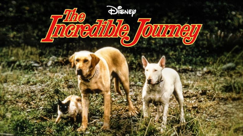 The Incredible Journey still