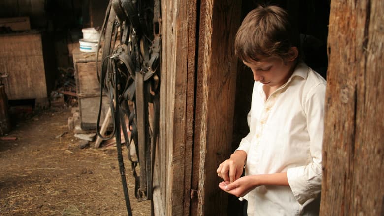 Katalin Varga still