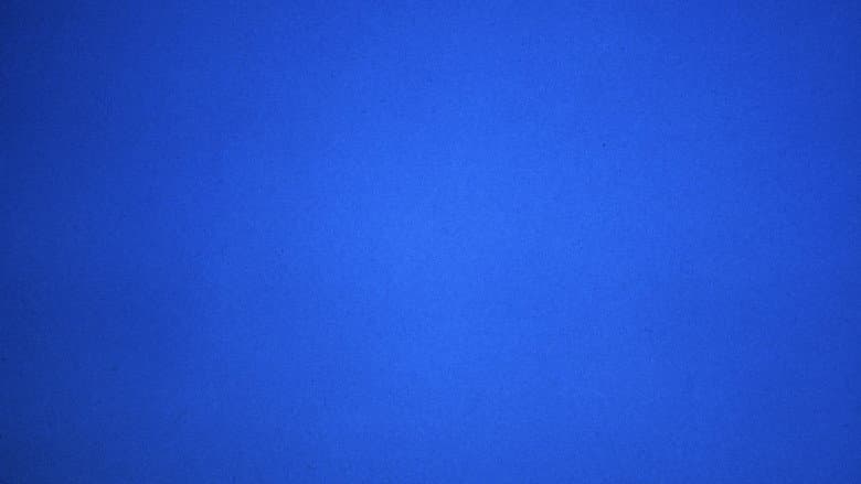 Blue still