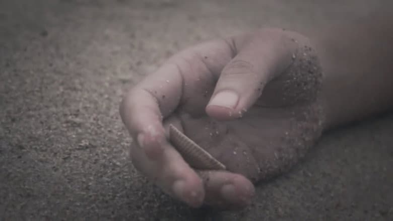MERMAID still