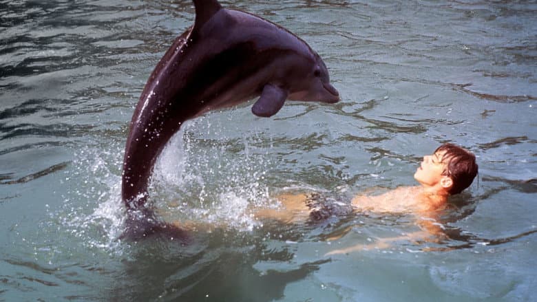 Flipper's New Adventure still