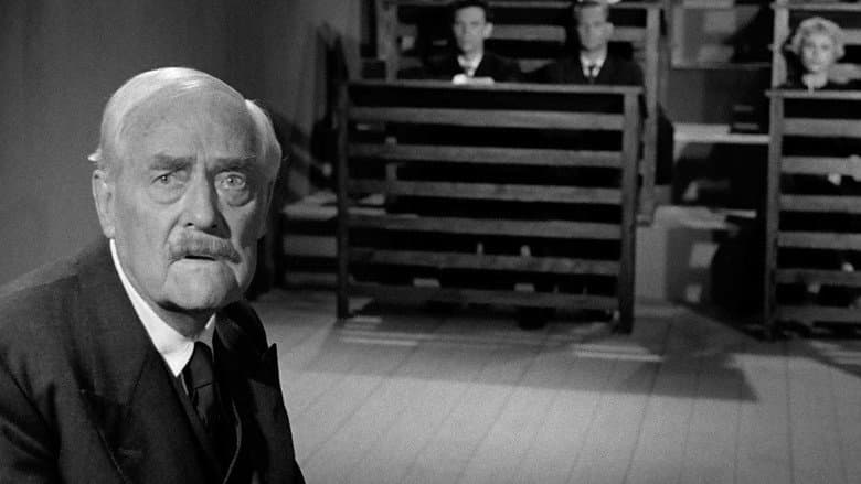 Wild Strawberries still