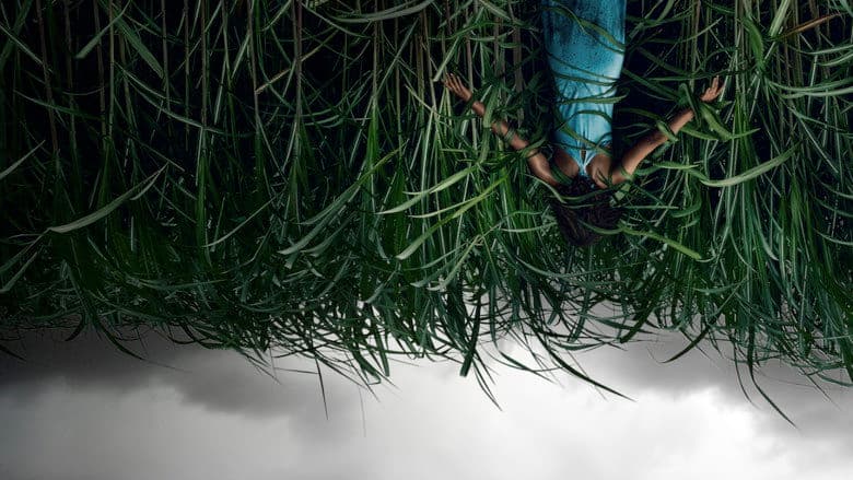 In the Tall Grass still